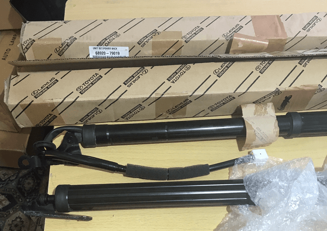 Lexus NX300h boot Struts x 2 - LE25